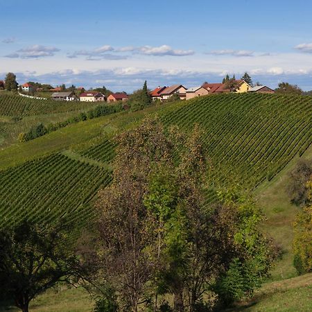 Bed and Breakfast Wine & Tourism Bracko Spodnji Jakobski Dol Екстер'єр фото